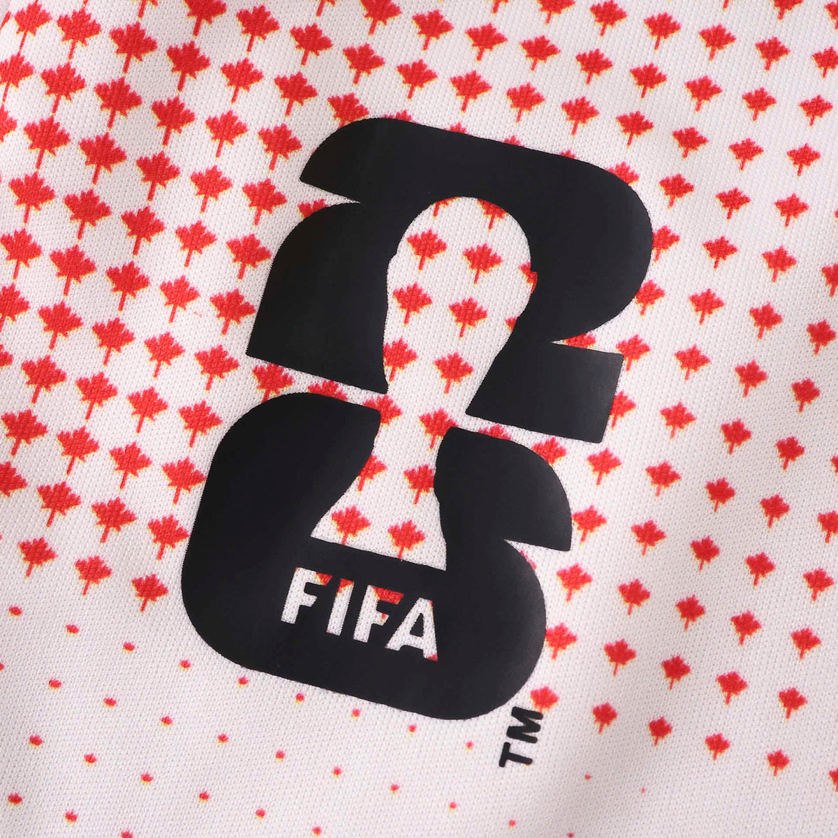 Canada 2026 FIFA World Cup Pre-Match Promo Tee – Adidas Aeroready Host Nation Edition